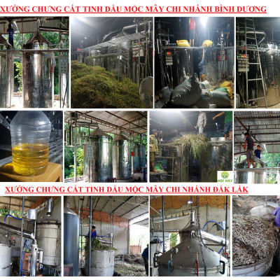 Tinh dầu Hoa Phong Lữ 100ml Mộc Mây - tinh dầu thiên nhiên nguyên chất 100% - chất lượng vượt trội - mùi hương nồng nàn, quyến rũ, kích thích, hưng phấn vượt trội - Có kiểm định