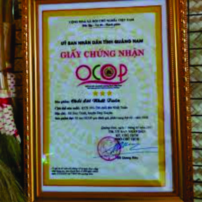 Chổi đót quét nhà, chổi chít  cán trúc rẻ bền đẹp Cao Cấp Đã Làm Sạch Bụi Bông Cỏ