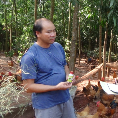 Chế phẩm sinh học VƯỜN SINH THÁI chăn nuôi Vỗ Béo không Mùi Hôi - Vật nuôi chắc thịt lớn nhanh ít bệnh dịch - Thức ăn bổ sung cho chó mèo lợn gà