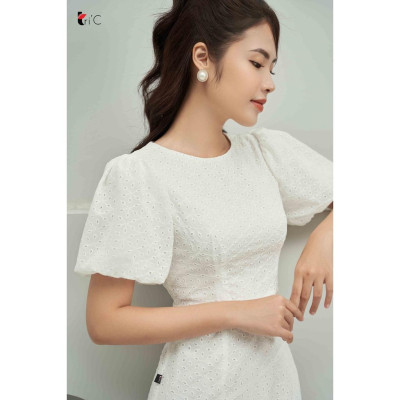 Đầm hoa thêu đục, tay bồng Tri