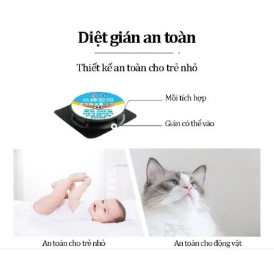 Bộ 6 Viên Mồi Diệt Gián, Thuốc Diệt Côn Trùng Sinh Học Không Độc Hại Dùng Trong Nhà Bếp, Hộ Gia Đình